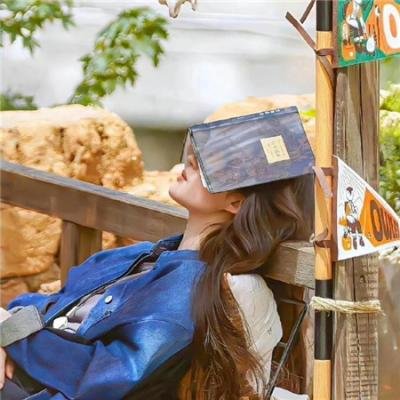 我这一辈子2002